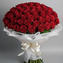 Букет 101 Красная роза Блэк Мэджик в Валдае