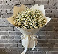 Букет цветов из:  Ромашки #REPLACE_PRED# Валдае