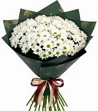 Букет цветов из:  Хризантемы #REPLACE_PRED# Валдае