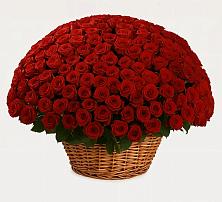 Премиум букет из: Розы #REPLACE_PRED# Валдае